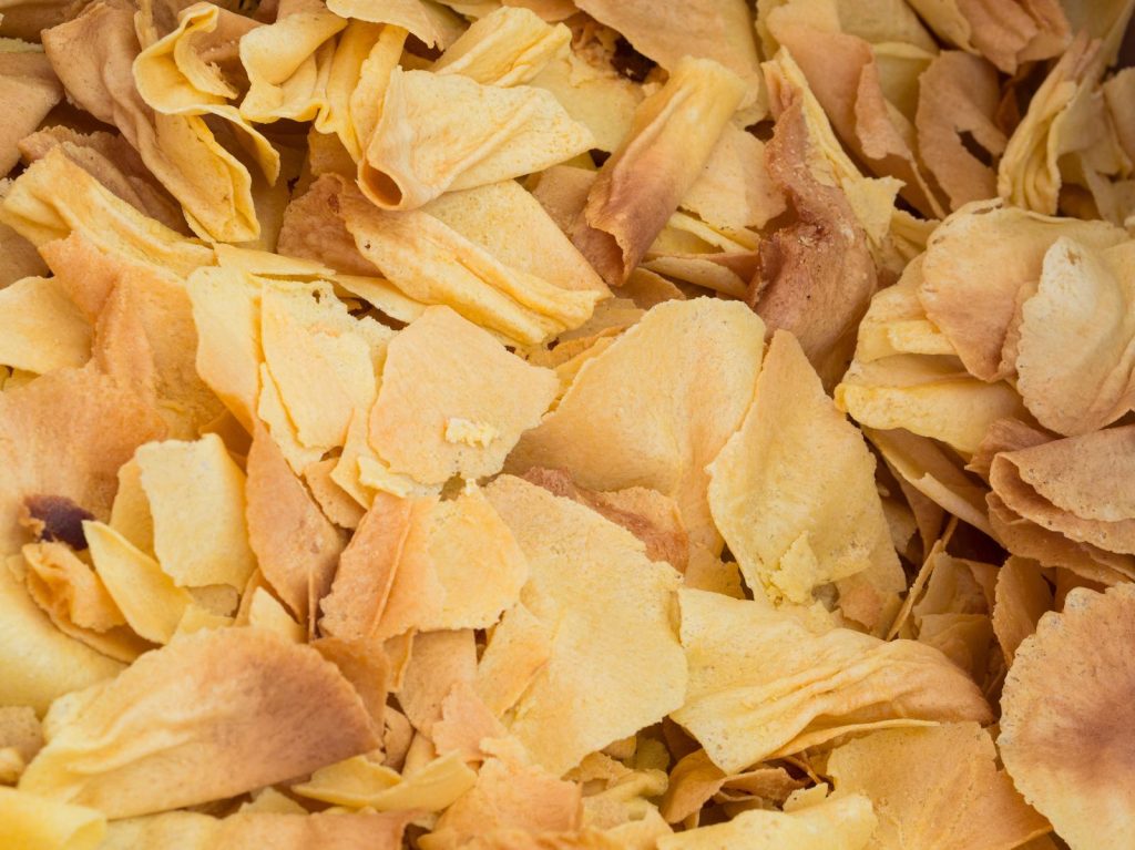 Brigidini