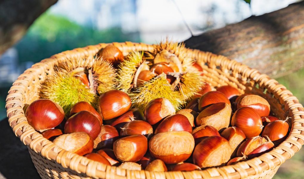 Castagne al rum