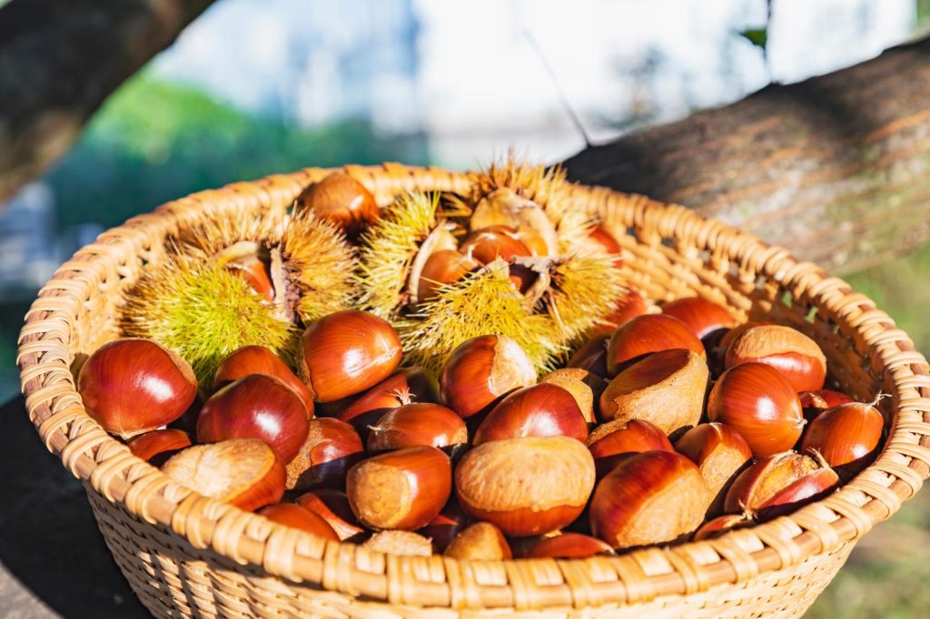 Castagne al rum