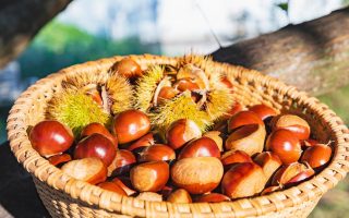 Castagne al rum