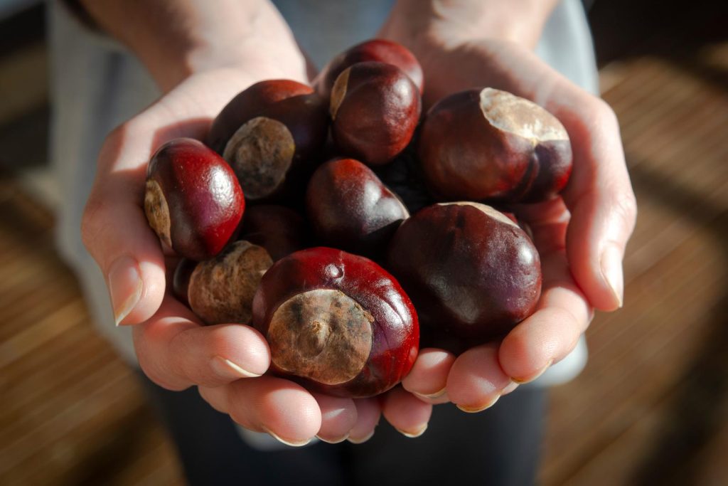 Castagne in padella