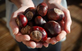 Castagne in padella