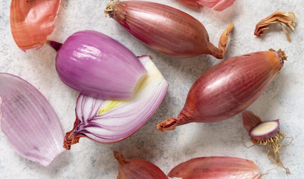 Cipolle in agrodolce