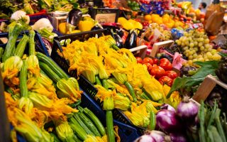 Fiori di zucca in padella
