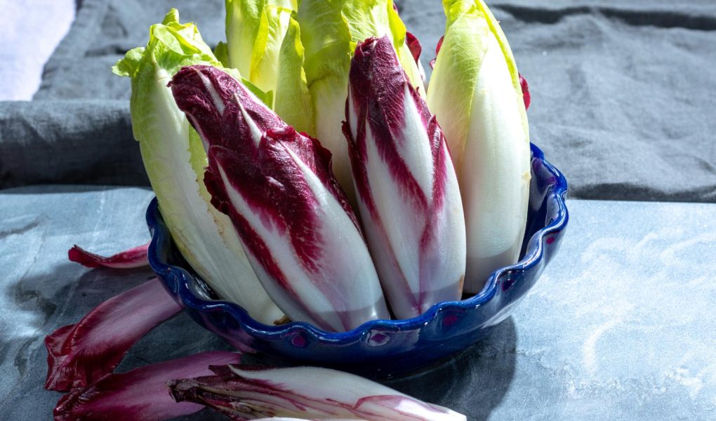 Lasagne al radicchio
