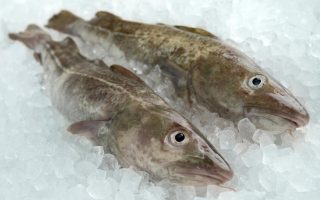 Merluzzo gratinato