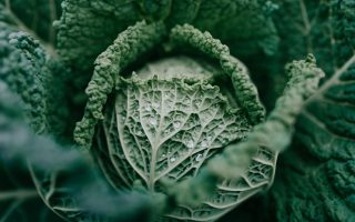 Pesto di cavolo nero