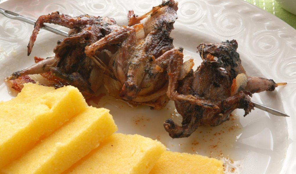Polenta e osei