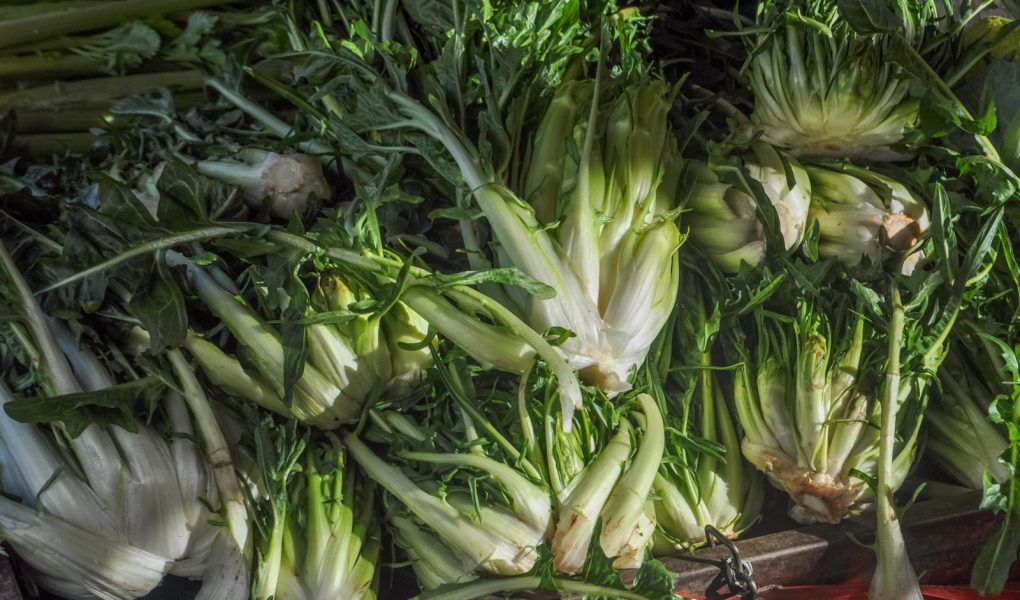 Puntarelle alla romana