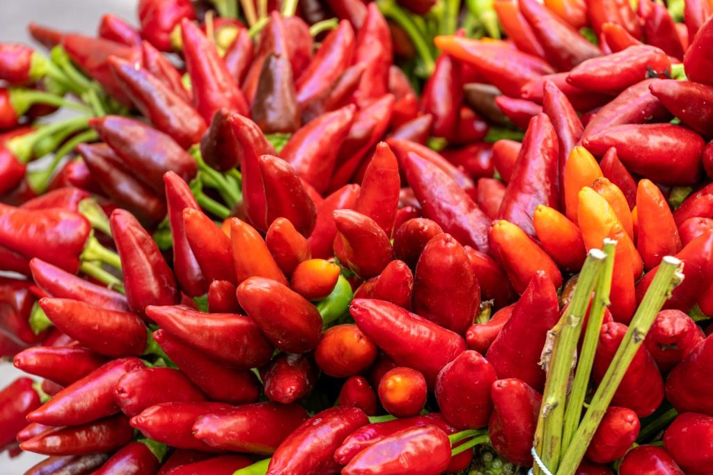 Salsa chili