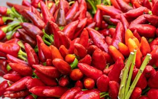 Salsa chili