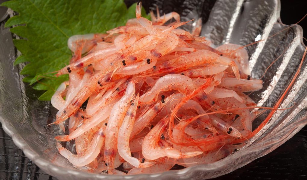 Spiedini di gamberi