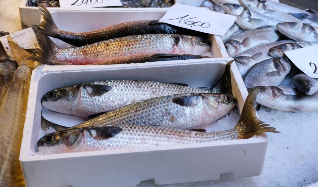 Spigola al sale