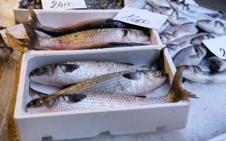 Spigola al sale