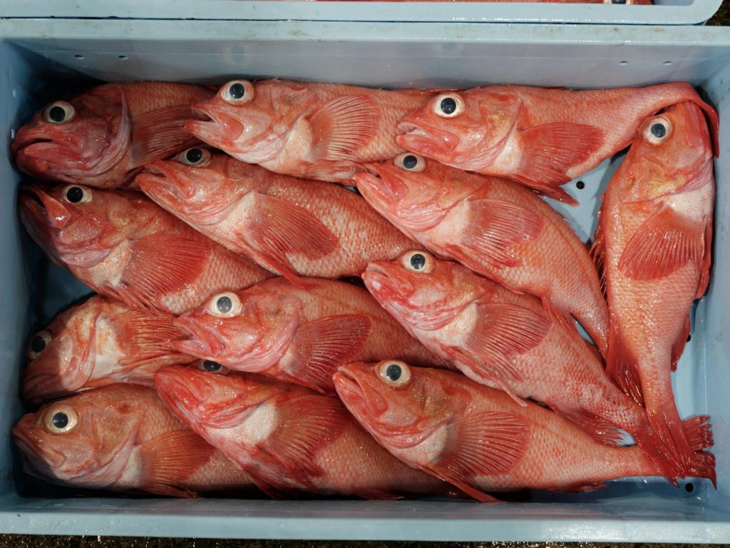 Triglie alla livornese